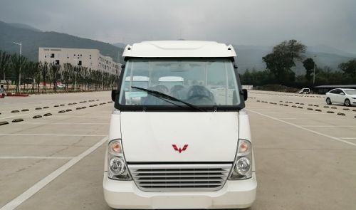 酒店使用什么样的电动接驳车-颜值能打性价比高[五菱]